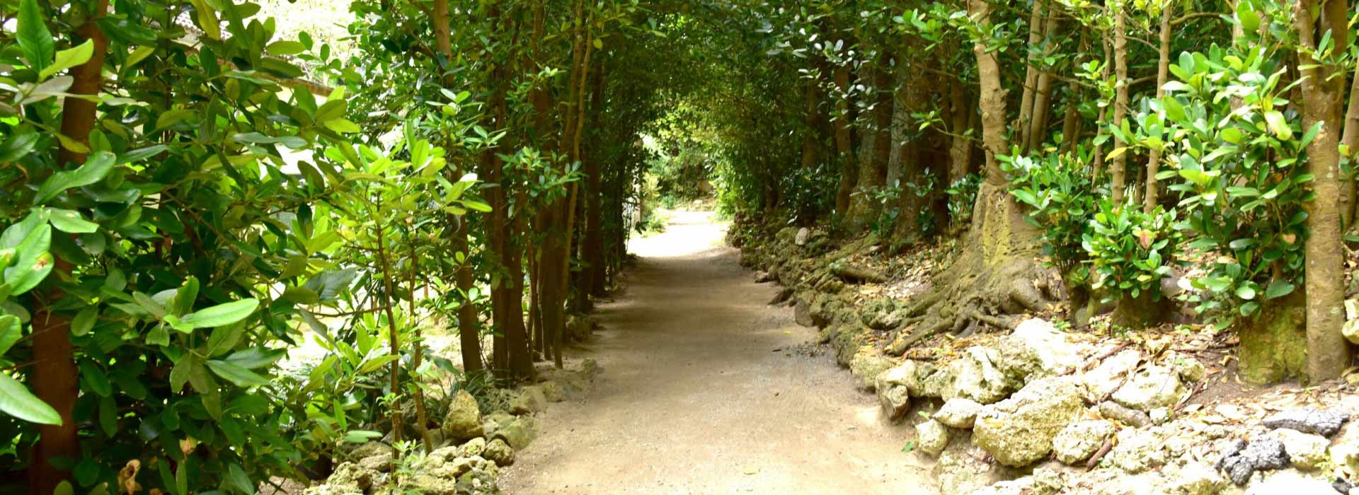 メインビジュアル2